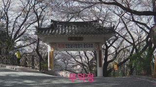 제2회 남구청장기 궁도대회